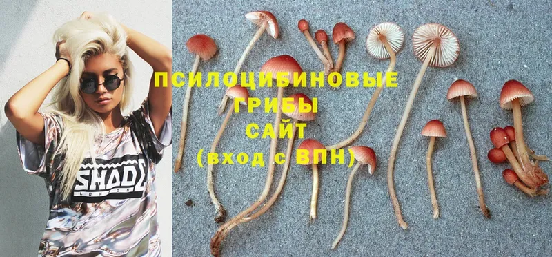 Галлюциногенные грибы Magic Shrooms  Чердынь 